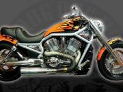 Picture of a custom built orange V-Rod, side view, full bike