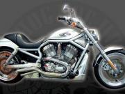 Picture of V-Rod, side view, full bike